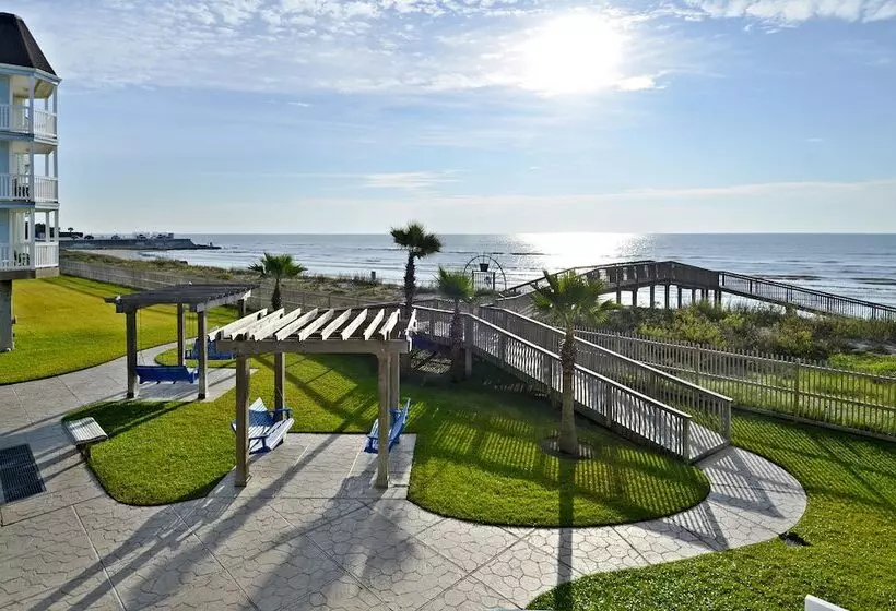 Seascape 1206   Pineapple Paradise