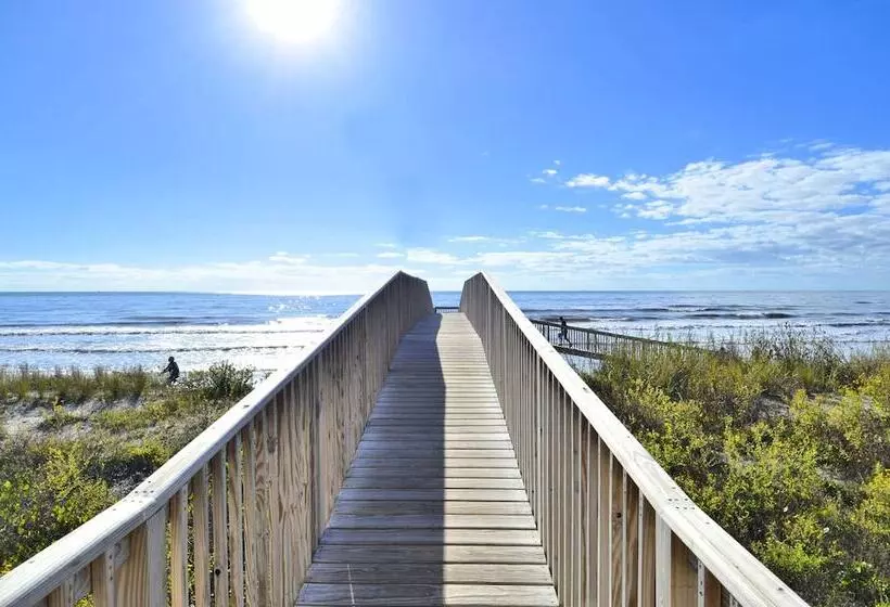 Seascape 1206   Pineapple Paradise