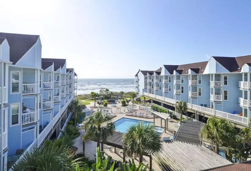 Seascape 1206   Pineapple Paradise