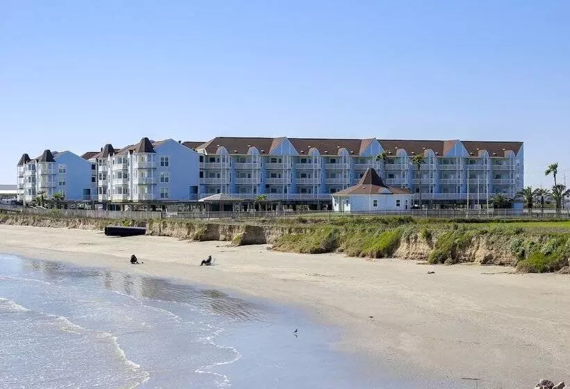 Seascape 1206   Pineapple Paradise