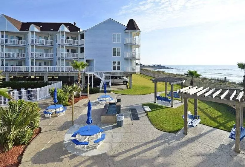 Seascape 1206   Pineapple Paradise