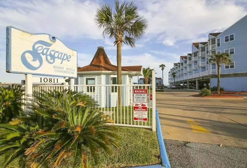 Seascape 1206   Pineapple Paradise