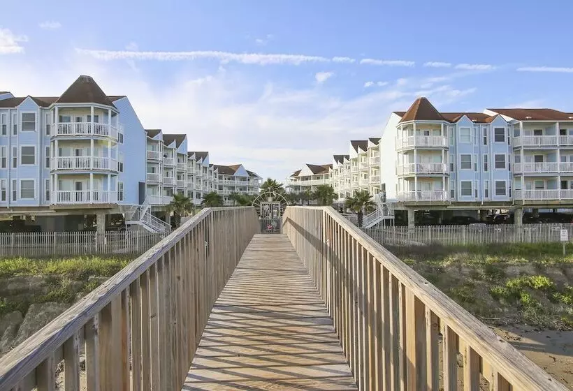 Seascape 1206   Pineapple Paradise