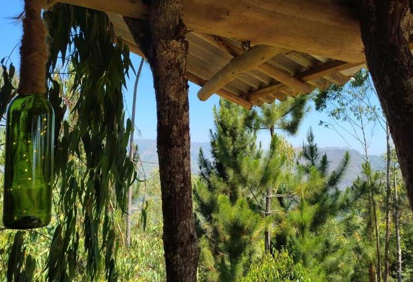 Bed and Breakfast Villa Nature Hights