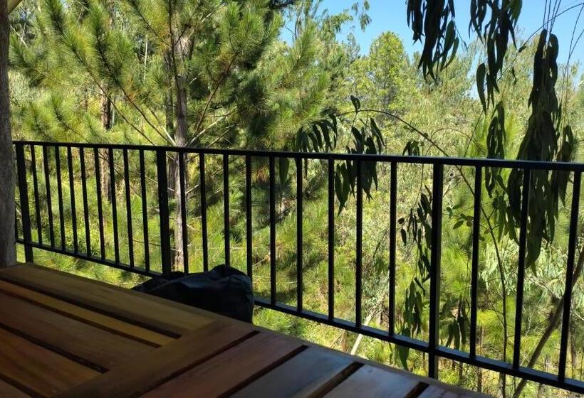 Bed and Breakfast Villa Nature Hights