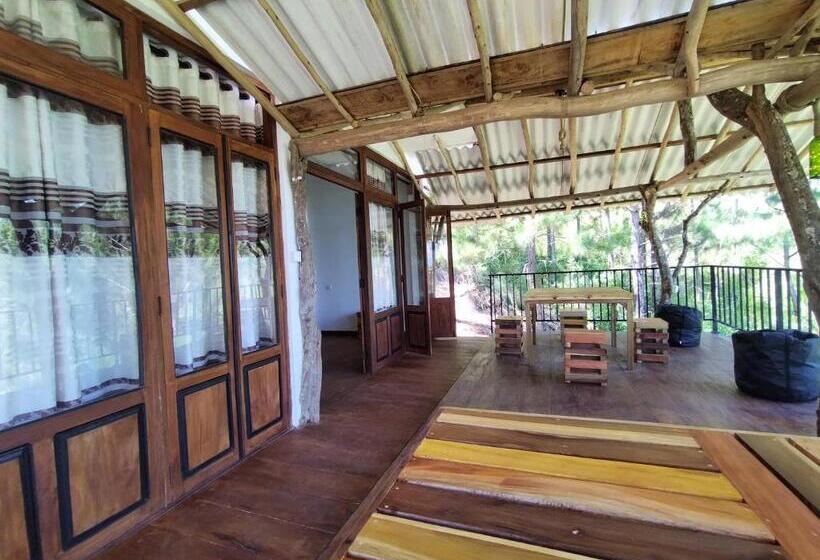 Bed and Breakfast Villa Nature Hights