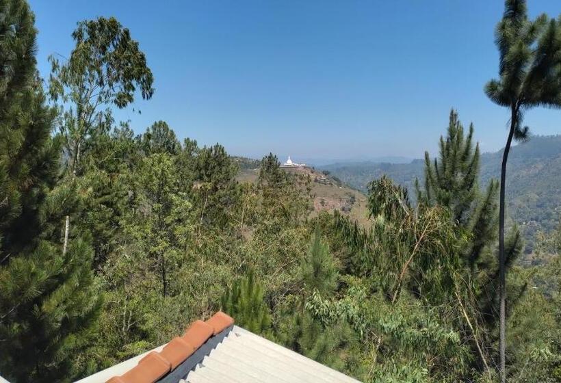 Bed and Breakfast Villa Nature Hights