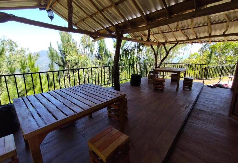 Bed and Breakfast Villa Nature Hights