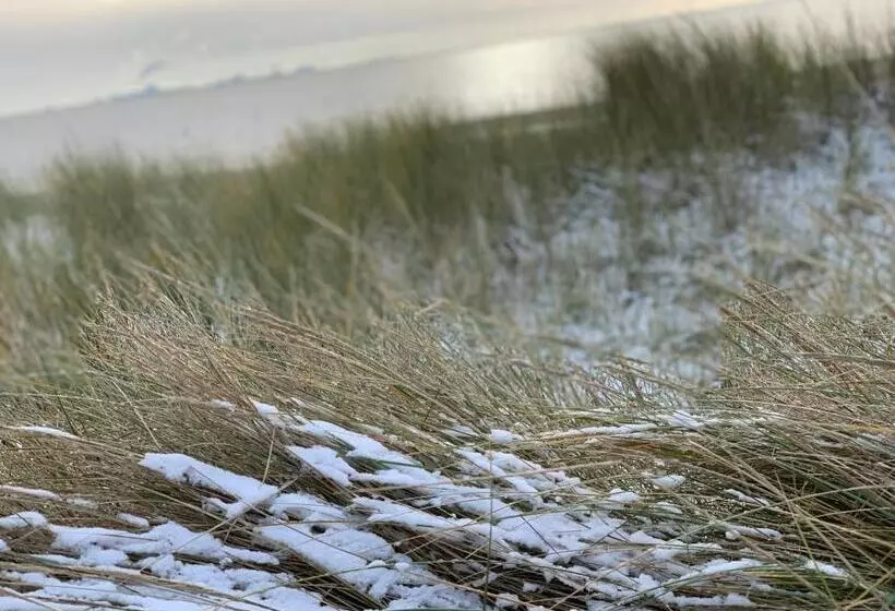 Pension Haus Beckmann