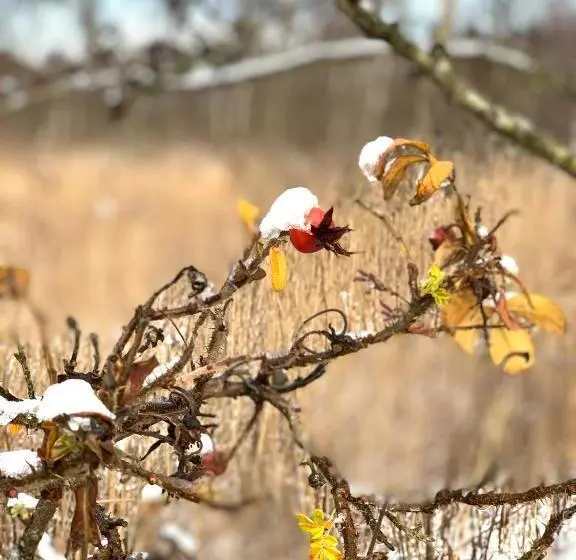 Pension Haus Beckmann