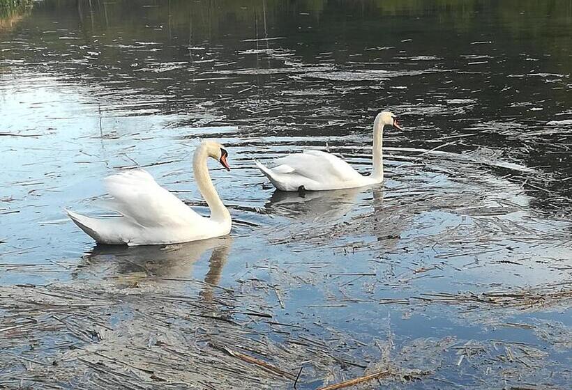 Propriete Bordee D Etangs, Propice A La Detente