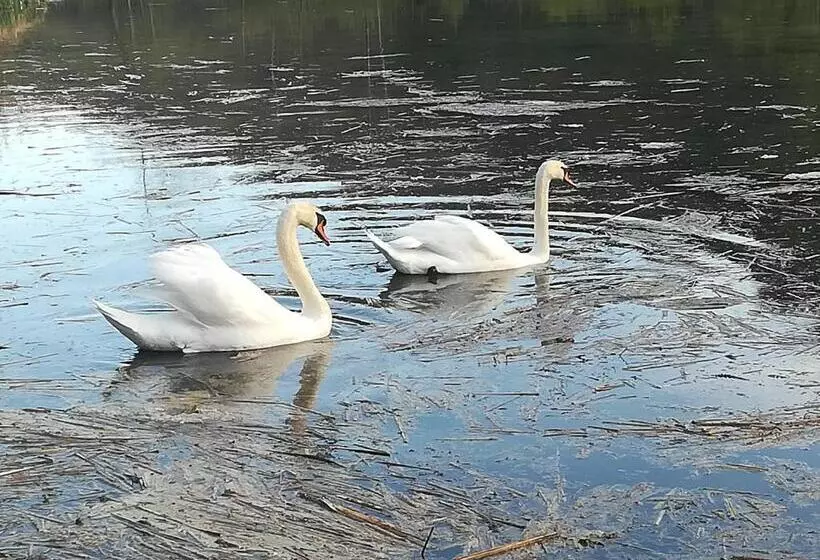 Propriete Bordee D Etangs, Propice A La Detente