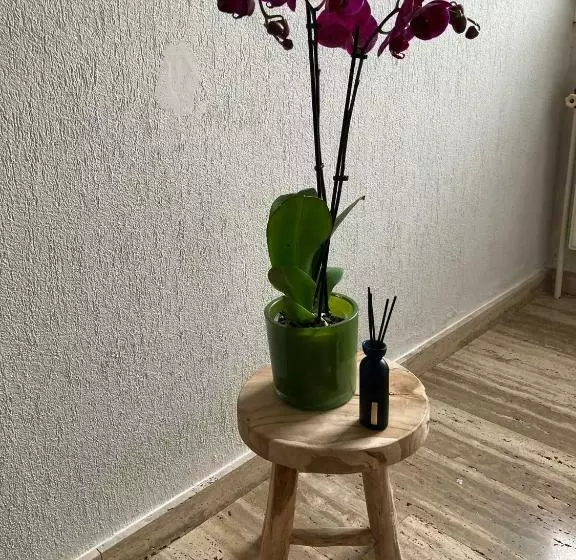 Rustig Appartement In Het Groen Met Terras