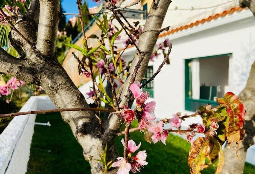 Vivienda Vacacional Con Vistas