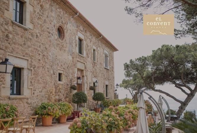 Apartament  Es Botànic