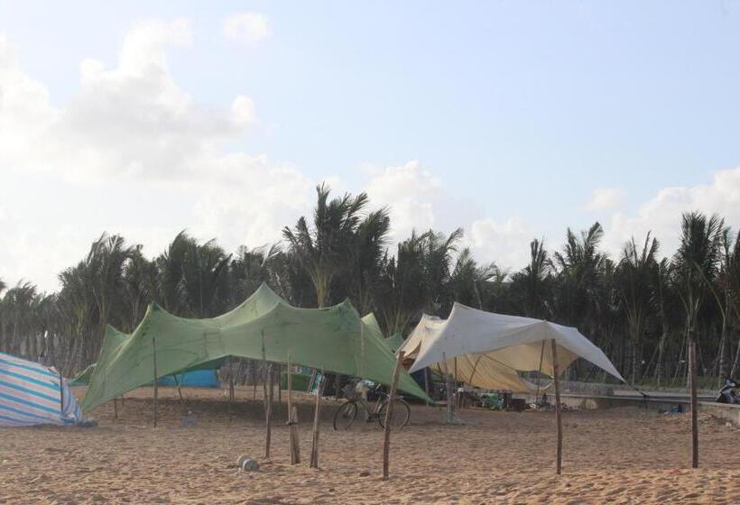 پانسیون Bí đỏ Homestay