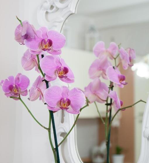 پانسیون Bibi Boutique Arezzo Camere Deluxe Cartazucchero & Cioccolato