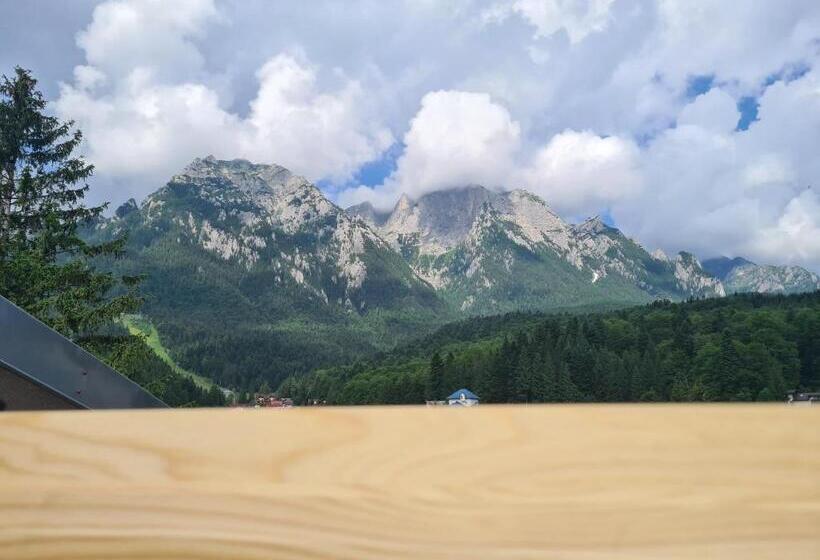 Пансион Casa Florescu