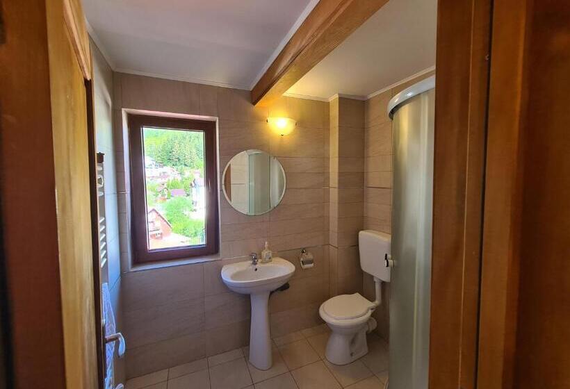 Пансион Casa Florescu