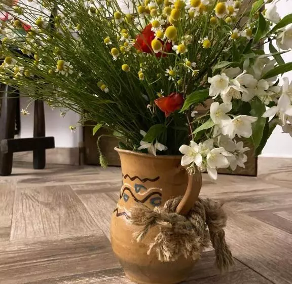 Majatalo Casa Soarelui