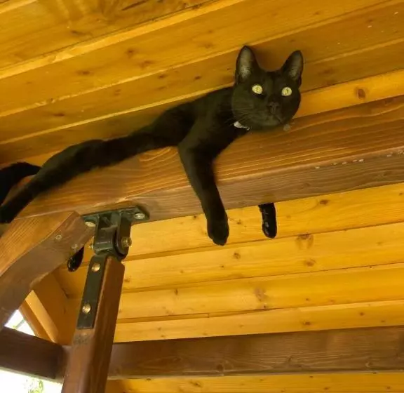 Majatalo Casa Soarelui