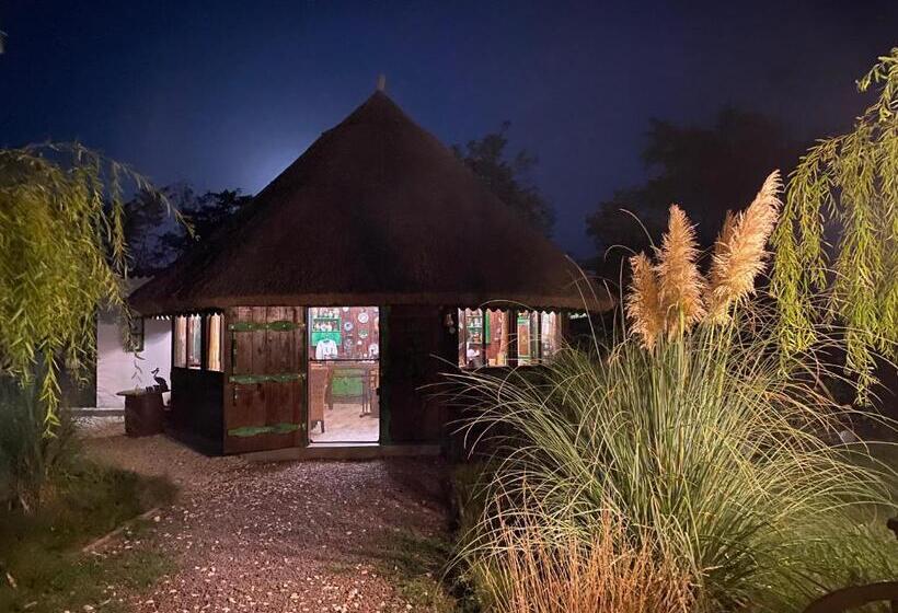 پانسیون Casa Soarelui