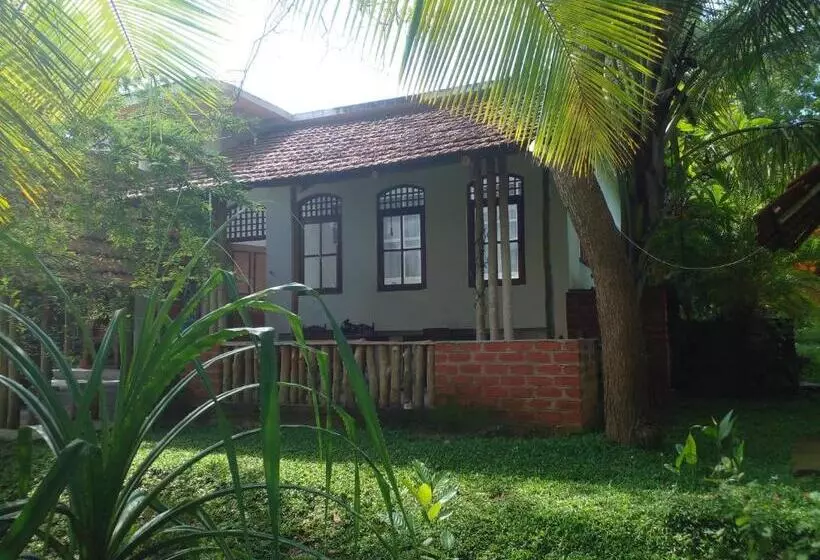 پانسیون Home In The Island