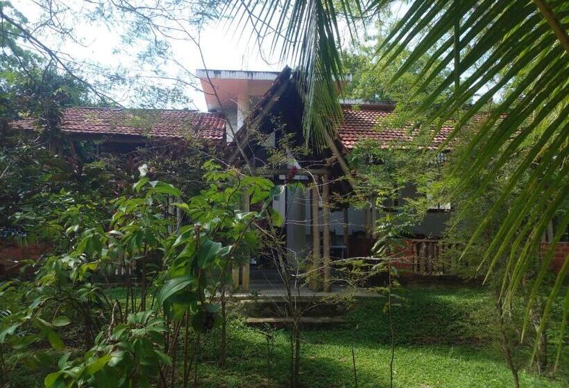 Panzió Home In The Island