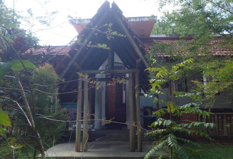 Panzió Home In The Island