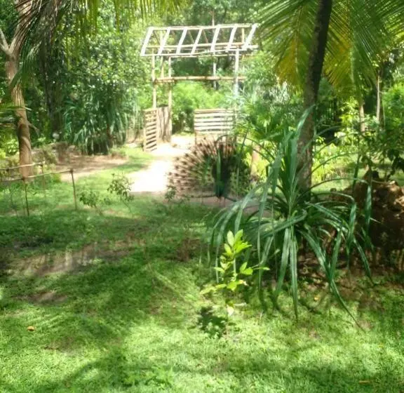 پانسیون Home In The Island