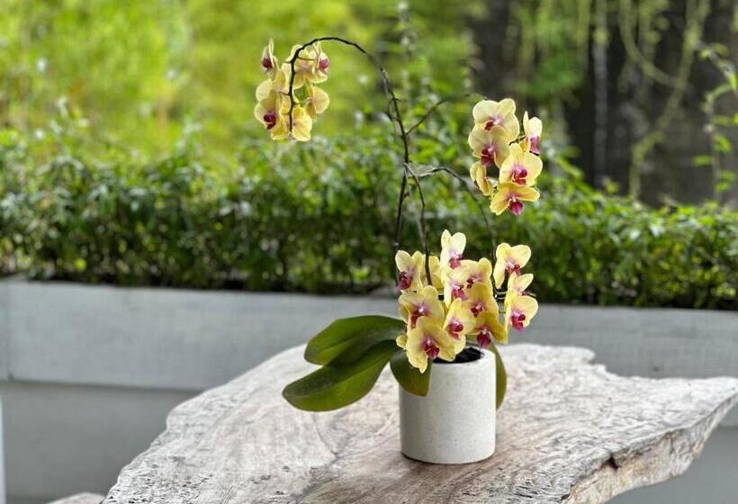 住宿加早餐 The Lava Bali Villa And Hot Spring