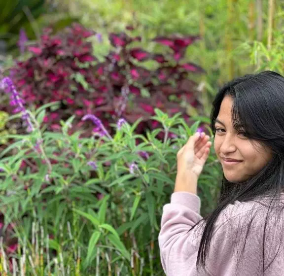 ベッドアンドブレックファースト The Lava Bali Villa And Hot Spring