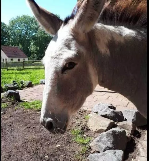 Coco Wellness Bungalow