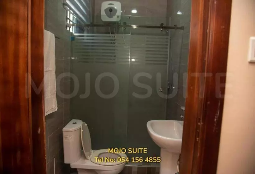 Mojo Apartment, Tema