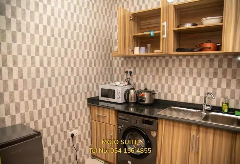 Mojo Apartment, Tema