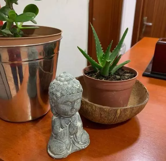 پانسیون Guest House De Rada