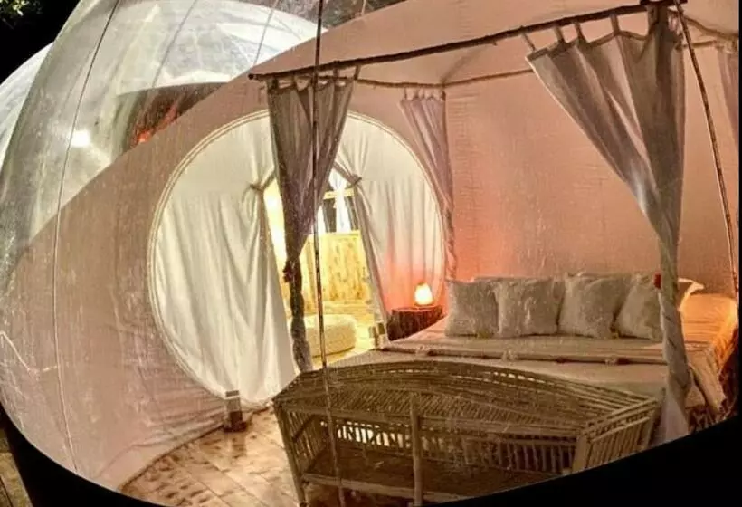 پانسیون Rock And Sea Resort, Imperial Banda 1 Pax   Glamping
