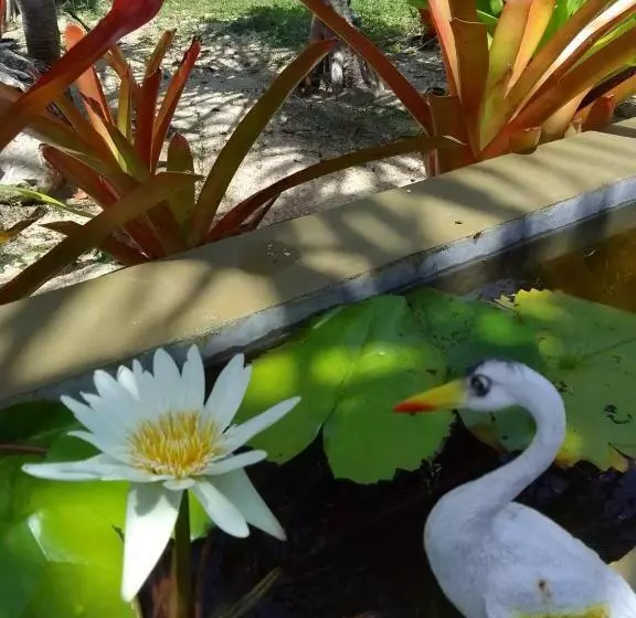 リゾートホテル The Wynn Kohjum