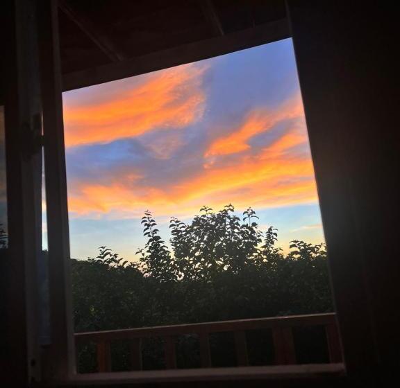 Hotel Palomar Ecocabaña