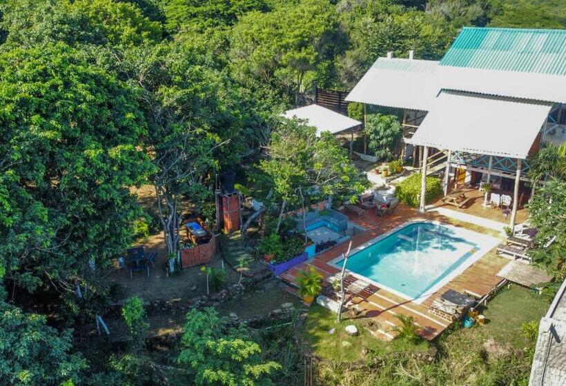 Hotel Palomar Ecocabaña