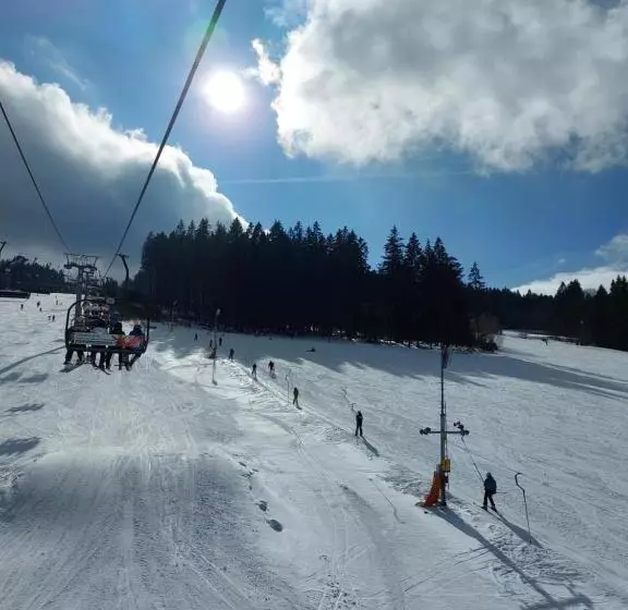 ペンション U Dvou Rysů