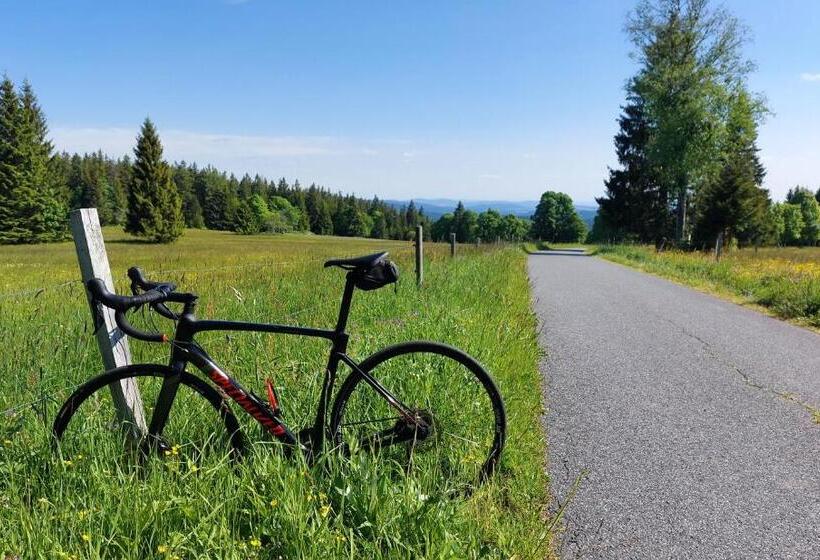 膳宿费 U Dvou Rysů