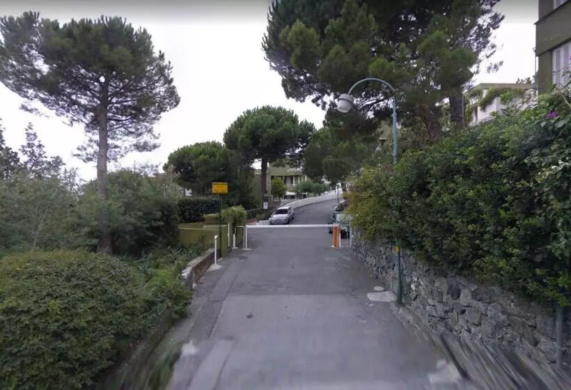 Residenza Mimosa