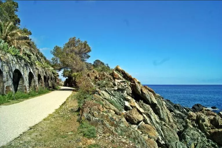 Residenza Mimosa