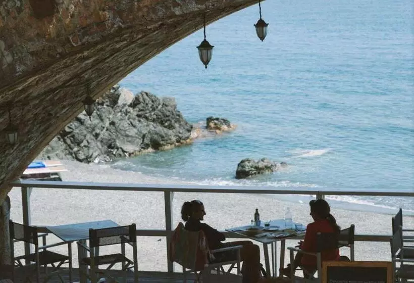 Residenza Mimosa