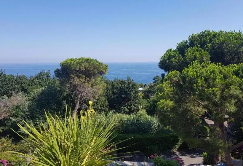Residenza Mimosa