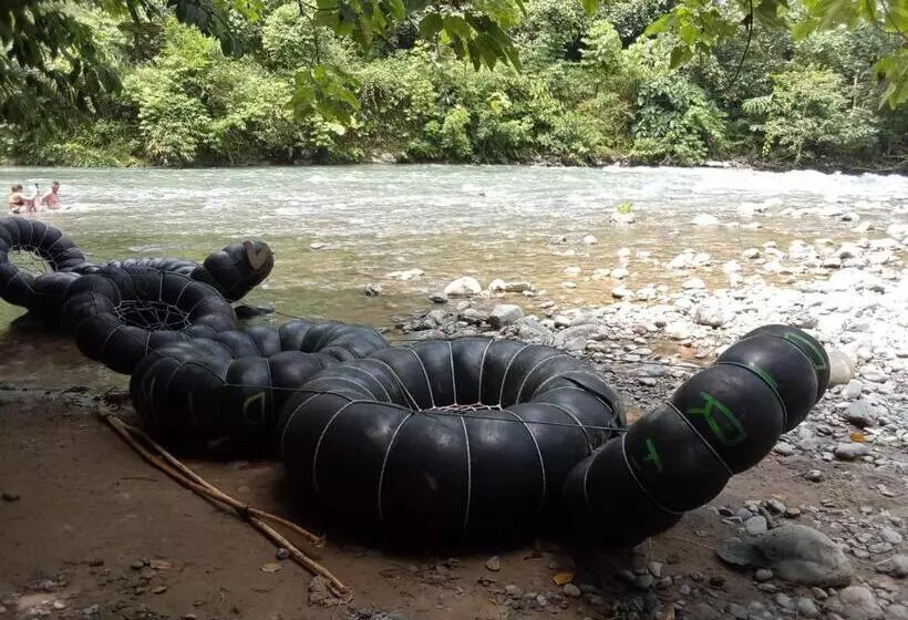 ユースホステル Jungle Treking & Jungle Tour If You Want To Stay Here,you Must Book Treking Only With Us