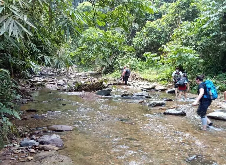 ユースホステル Jungle Treking & Jungle Tour If You Want To Stay Here,you Must Book Treking Only With Us