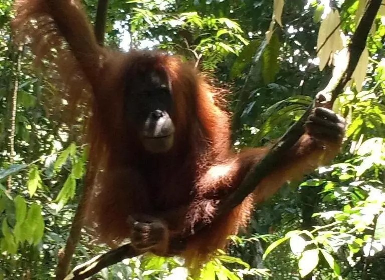 ユースホステル Jungle Treking & Jungle Tour If You Want To Stay Here,you Must Book Treking Only With Us