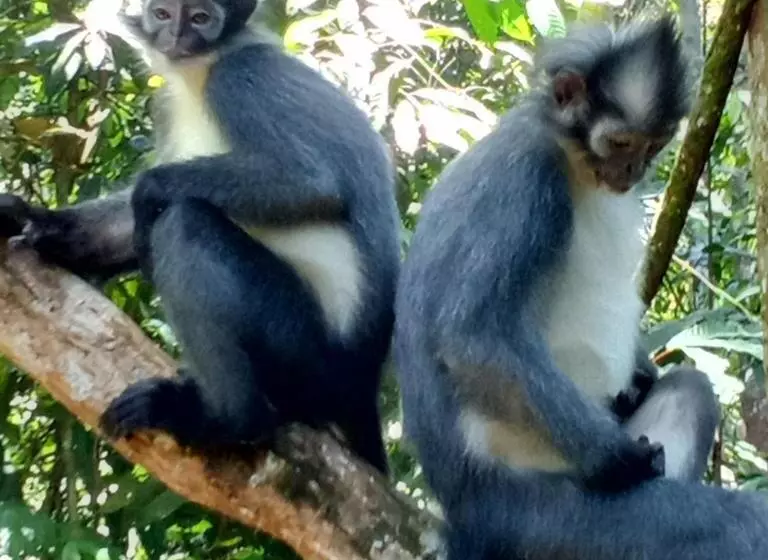 ユースホステル Jungle Treking & Jungle Tour If You Want To Stay Here,you Must Book Treking Only With Us